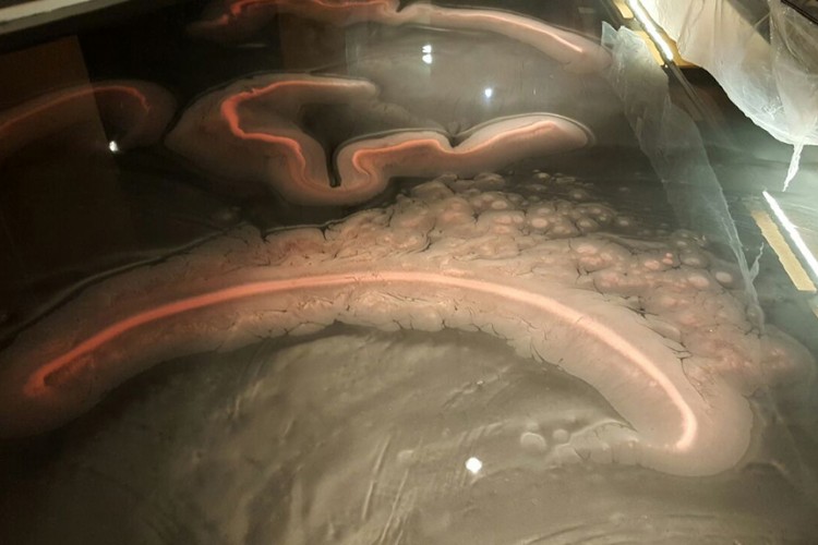 METALİK EPOKSİ KAPLAMA